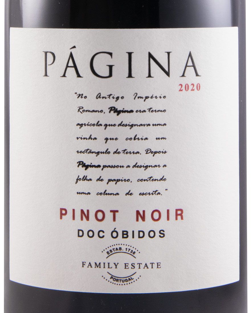 2020 Página Pinot Noir tinto