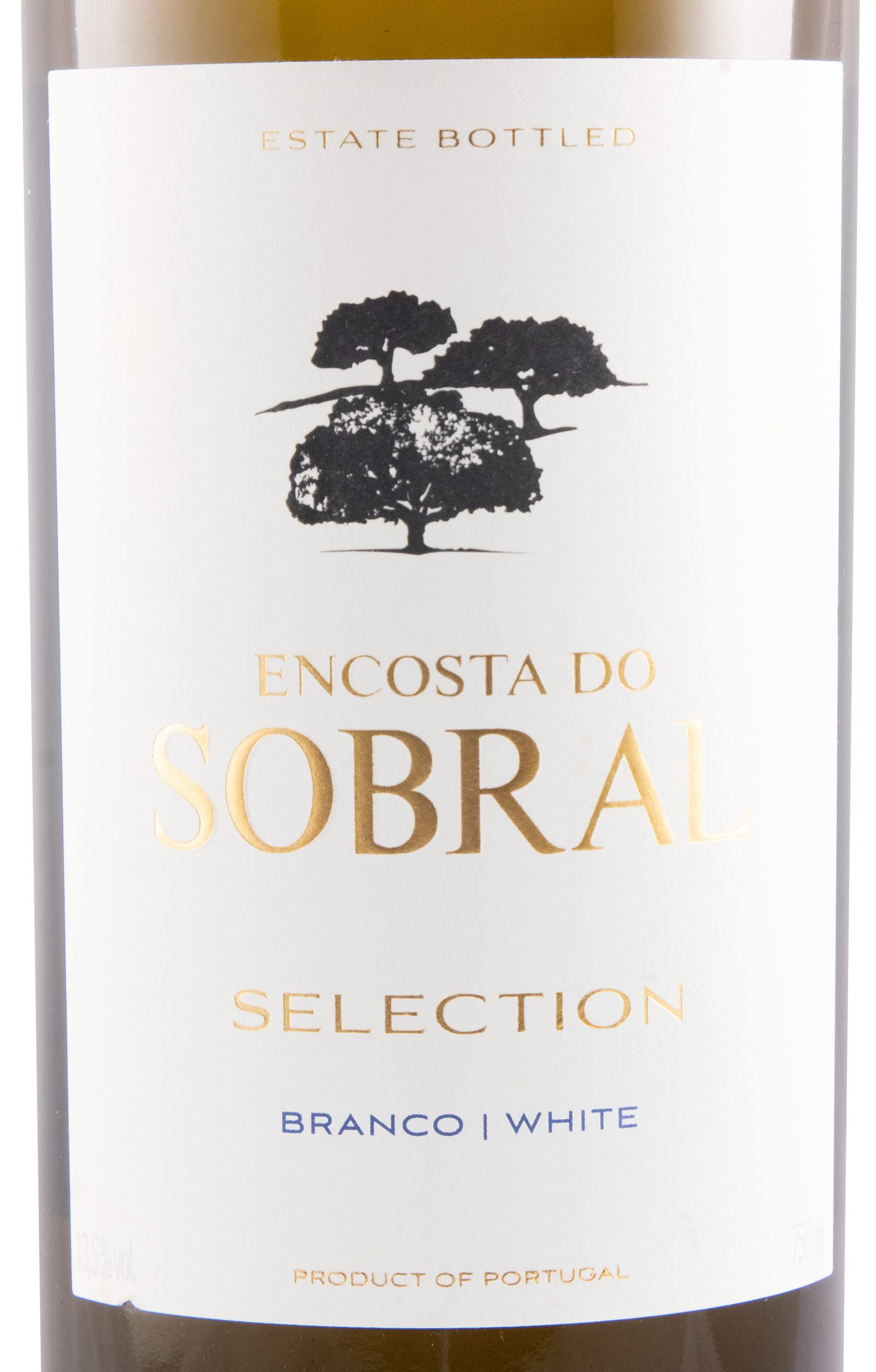 2021 Encosta do Sobral Selection white