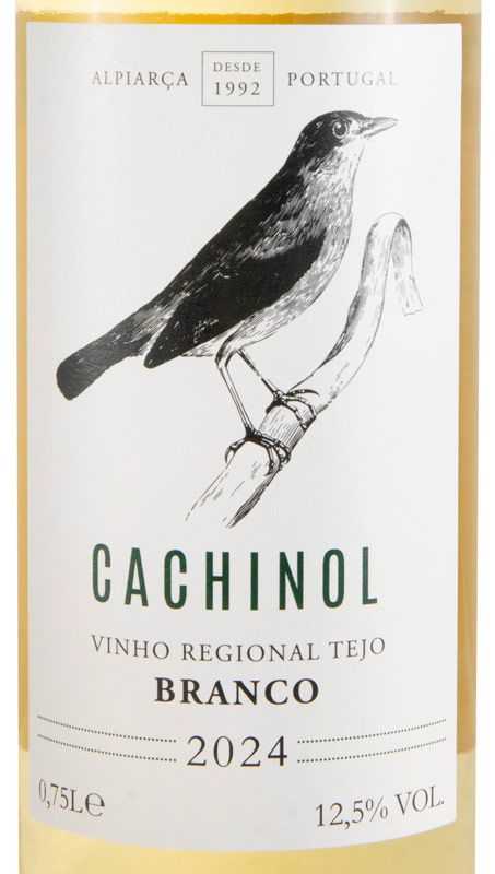 2024 Cachinol white
