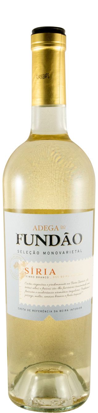 2023 Adega do Fundão Síria Seleção white