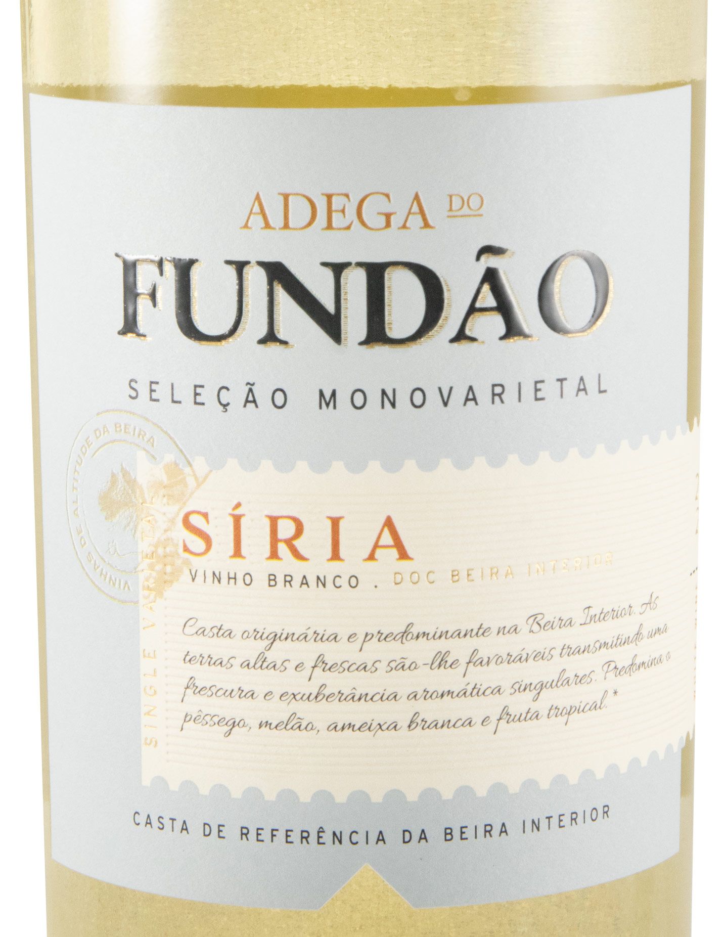 2023 Adega do Fundão Síria Seleção white