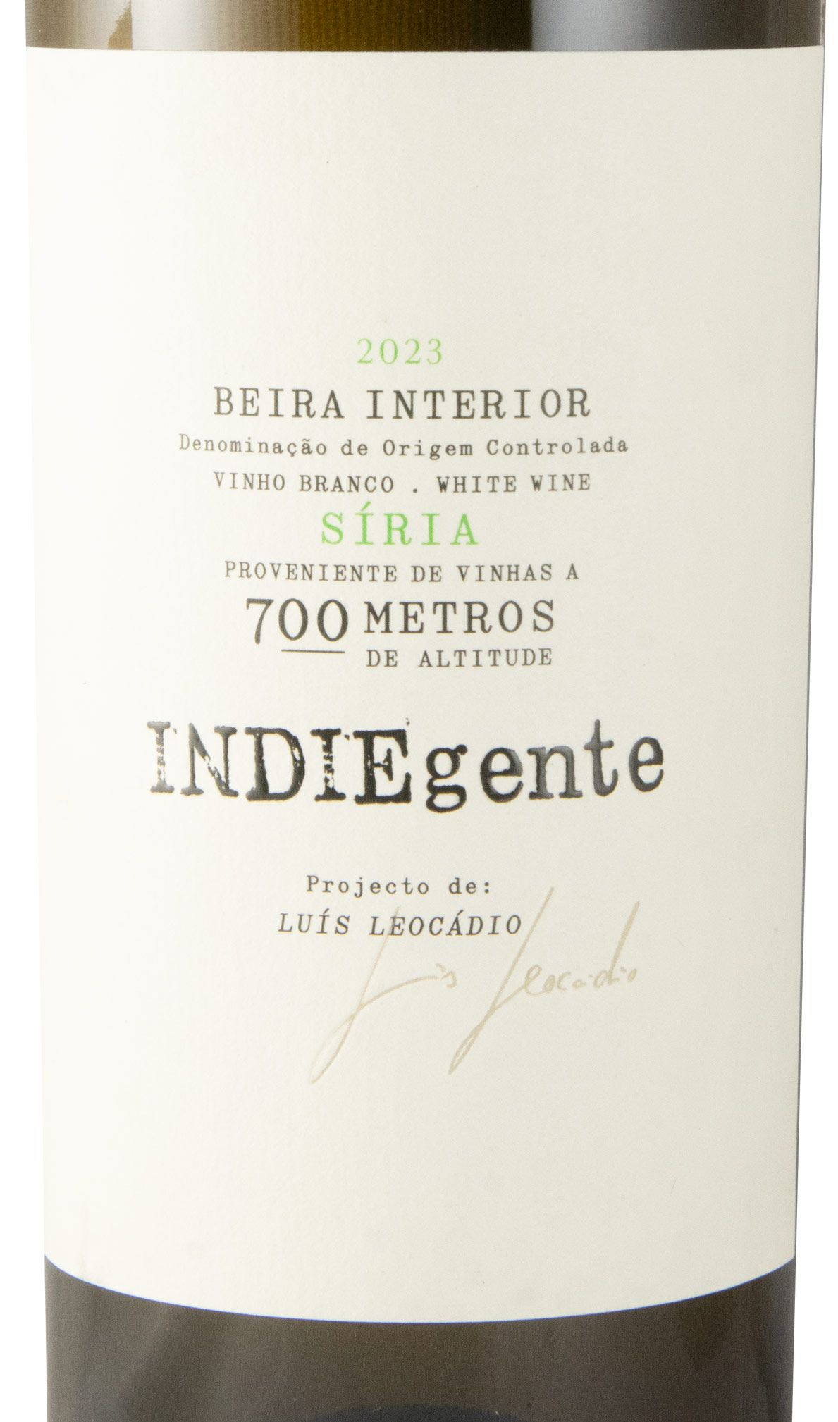 2023 Titan of Beira Interior Indiegente Síria white