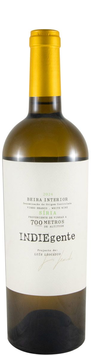 2024 Titan of Beira Interior Indiegente Síria branco
