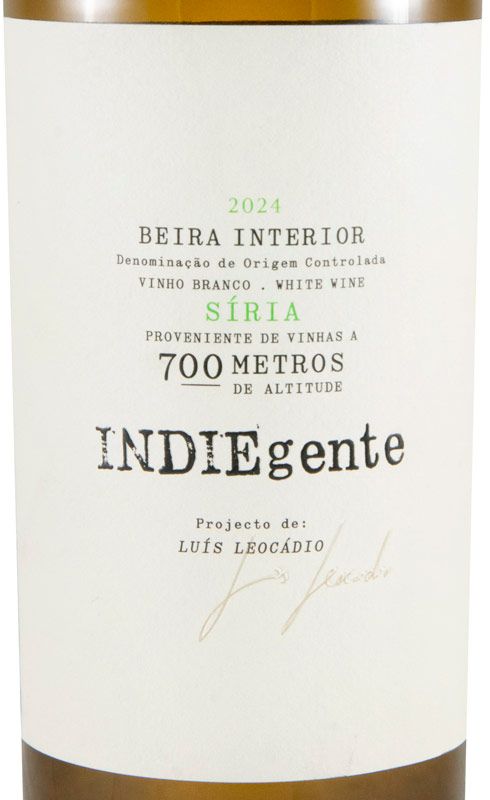 2024 Titan of Beira Interior Indiegente Síria branco