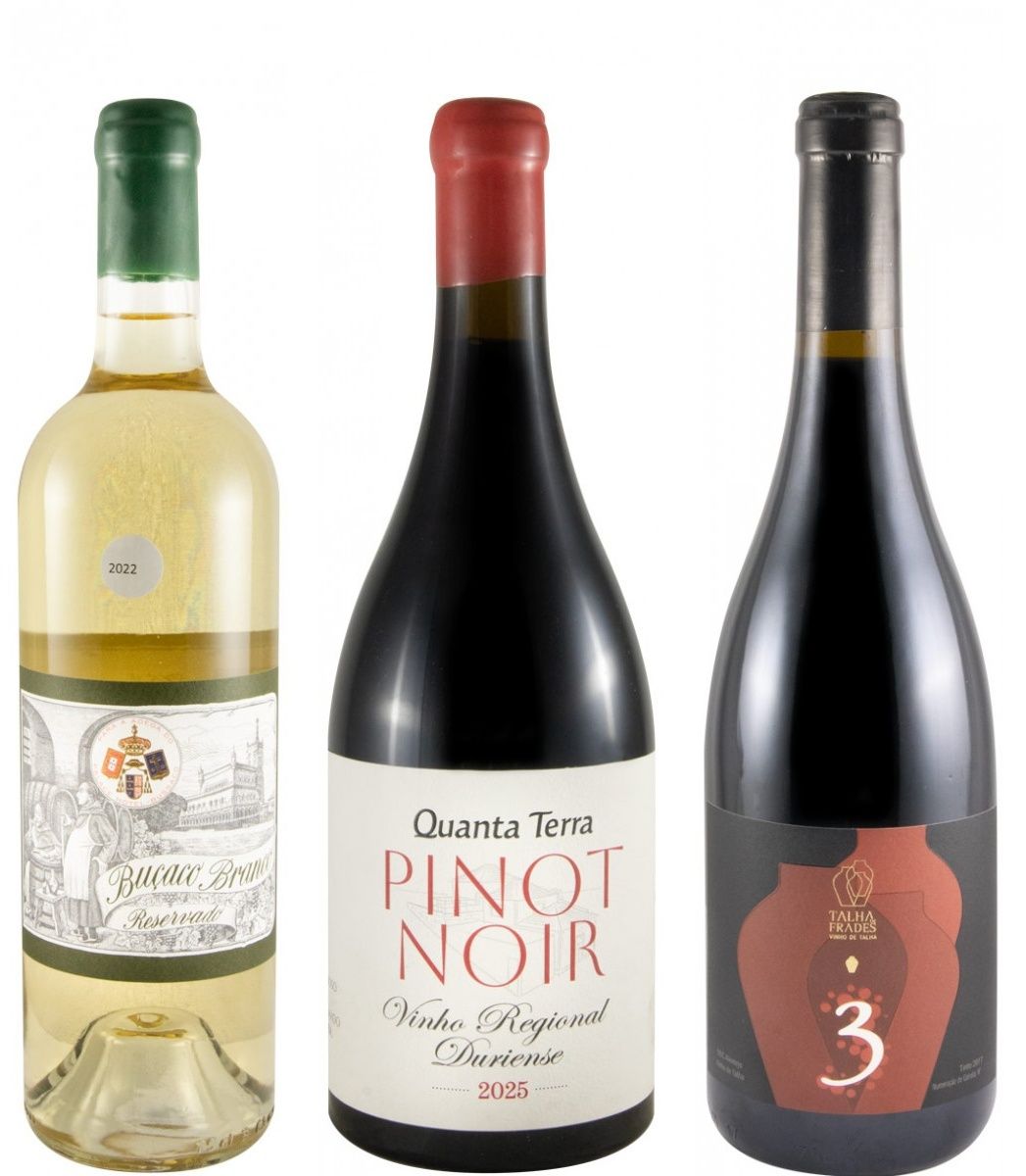 Sommelier Collection