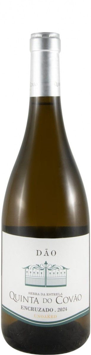 6 White Grape Varieties