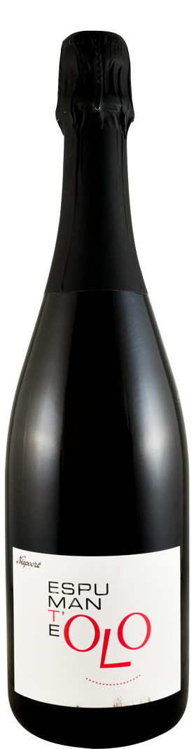 2013 Sparkling Wine Niepoort OLO