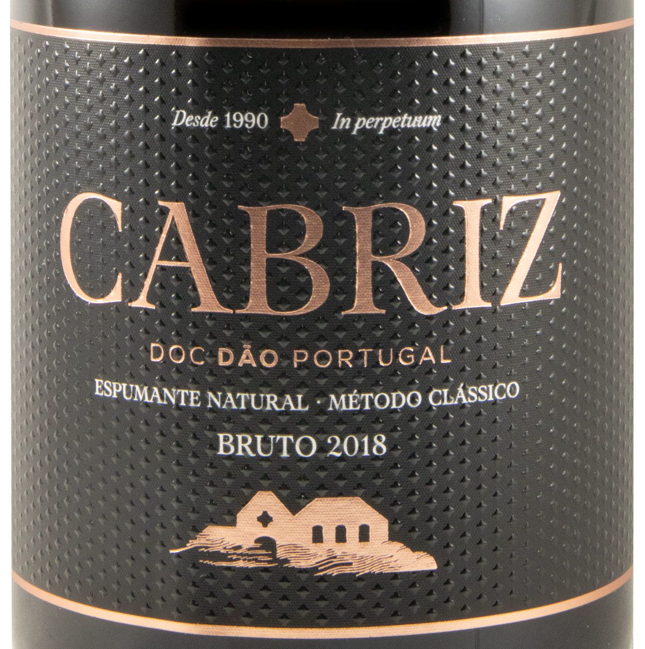 2018 Sparkling Wine Cabriz Brut