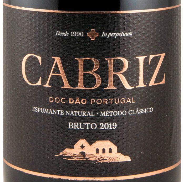 2019 Sparkling Wine Cabriz Brut