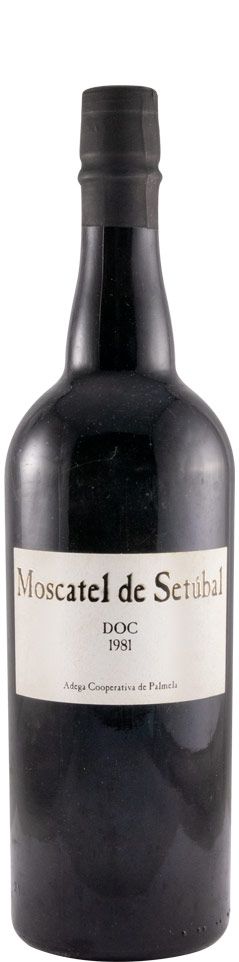 1981 Moscatel de Setúbal Adega Cooperativa de Palmela