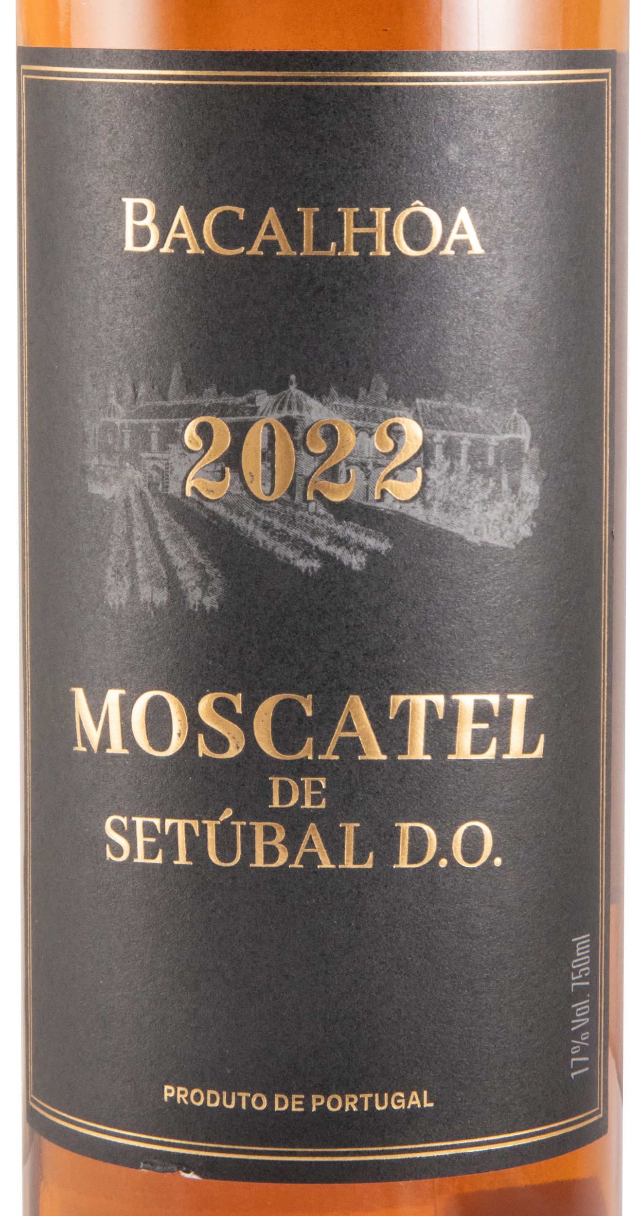 2022 Moscatel de Setúbal Bacalhôa