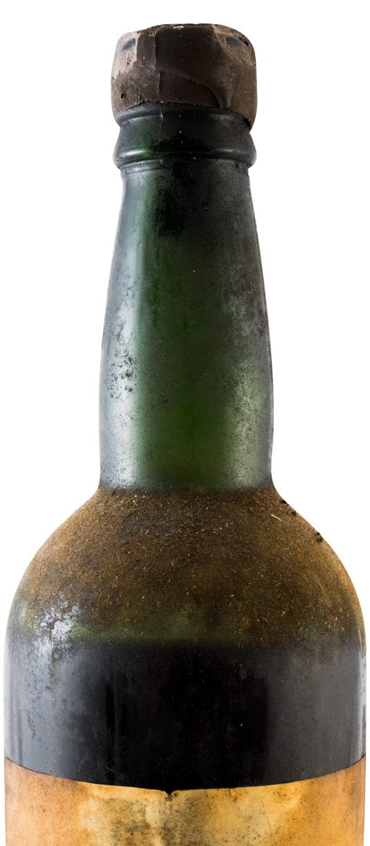 1842 Madeira Terrantez (nível baixo)