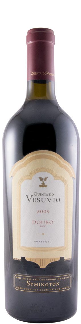 2009 Quinta do Vesuvio tinto
