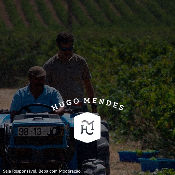 Bilhete MasterClasses GN: Hugo Mendes, o Enólogo que agita a tradição