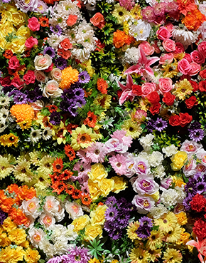 Flores e mais flores