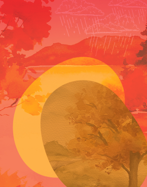 Sugestões para explorar em novembro - Conheça algumas das novidades que temos para si!