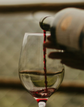 Dias Mais Frescos - Vinhos para saborear devagar