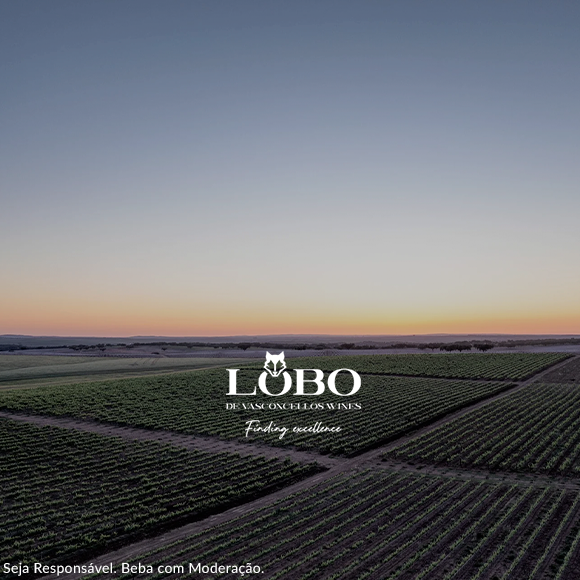 Lobo de Vasconcellos Wines - Tradição e inovação, respeitando o terroir e as castas portuguesas