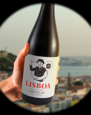 2023 Hugo Mendes Lisboa Castelão tinto - Um vinho fresco com final longo e persistente