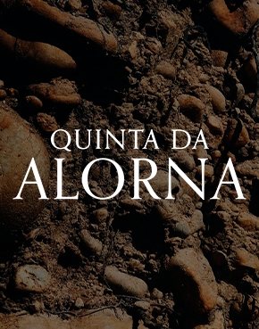 Sociedade Agrícola da Alorna