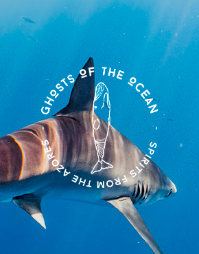 Ghosts of The Ocean - O espírito dos Açores aliado à preservação dos oceanos