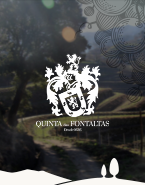 Quinta das Fontaltas - A valorização das castas autóctones da região dos Vinhos Verdes