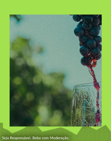 Vinhos Vegan - Um olhar diferente sobre o mundo do vinho