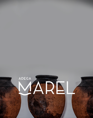 Adega Marel - A valorização do vinho de talha, vinhas velhas e castas tradicionais