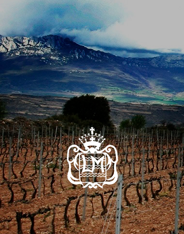 Bodegas Luis Marín Díez - Uma tradição familiar de produção artesanal