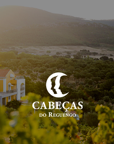 Cabeças do Reguengo - Vinhos para se apreciar com tempo