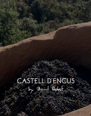 Castell d'Encús - Vinhos produzidos com uma abordagem inovadora