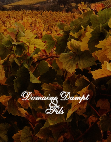 Domaine Daniel Dampt & Fils - Há mais de 150 anos a aperfeiçoar a qualidade