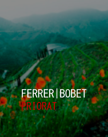Ferrer Bobet - Vinhos provenientes das vinhas mais antigas de Priorat
