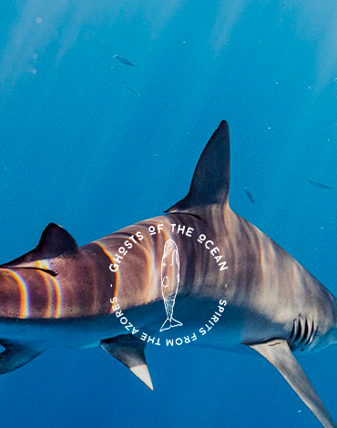 Ghosts of The Ocean - O espírito dos Açores aliado à preservação dos oceanos