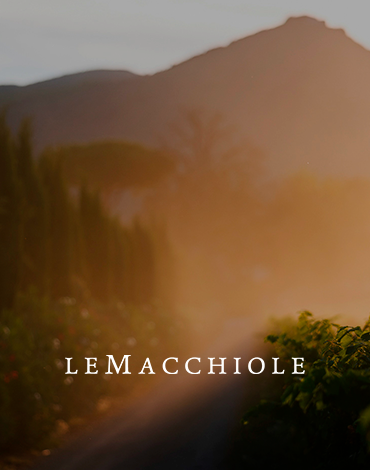 Le Macchiole - Vinhos cheios de personalidade que se tornaram um símbolo da Toscana