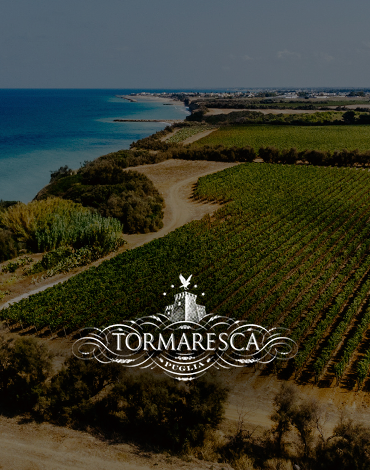 Tormaresca | Masseria Maìme - Vinhas a perder de vista até ao Mar Adriático