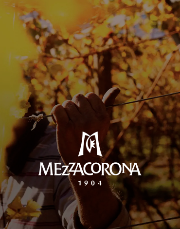 Mezzacorona - Vinhos com influência dos microclimas do Mediterrâneo e dos Alpes