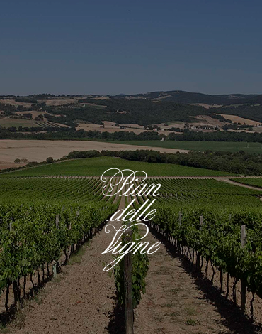 Marchesi Antinori | Pian delle Vigne - Uma interpretação pessoal da prestigiosa e tradicional casta Sangiovese