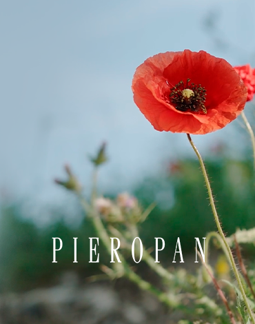 Pieropan - Vinhos italianos elegantes com carácter autêntico