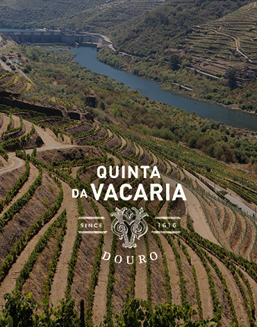 Quinta da Vacaria - Uma das Quintas mais antigas do Douro