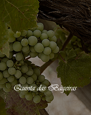 Quinta das Bágeiras - Vinhos com sabor de tradição