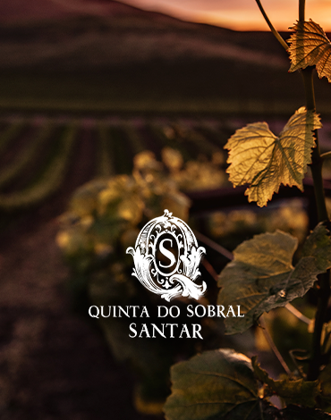 Quinta do Sobral - Vinhos que nos apaixonam