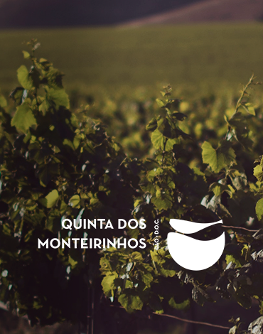 Quinta dos Monteirinhos - A produzir vinhos há sete gerações