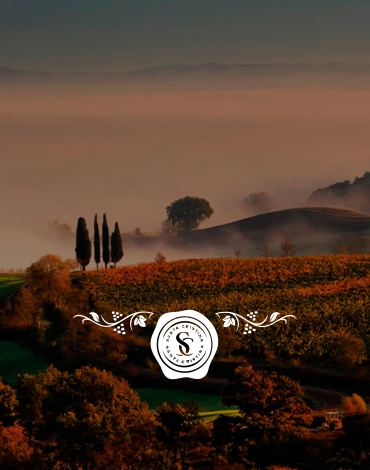 Santa Cristina - Renovando a tradição de vinhos de grande caráter