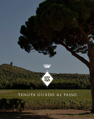 Marchesi Antinori | Tenuta Guado al Tasso - A expressão do terroir de Bolgheri