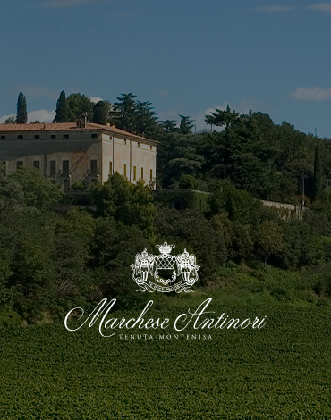 Marchesi Antinori | Tenuta Montenisa - No coração da região de Franciacorta