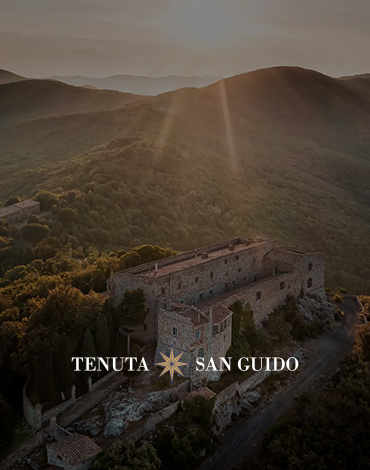 Tenuta San Guido - Um caminho sem precedentes na enologia italiana