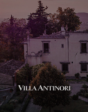 Marchesi Antinori | Villa Antinori - Um estilo contemporâneo respeitando a tradição e território da Toscana