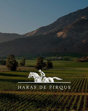 Marchesi Antinori | Viña Haras de Pirque - Vinhos Chilenos com alma Italiana