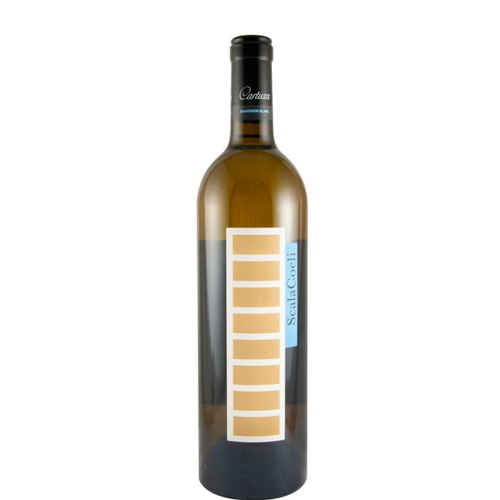 2022 Scala Coeli Sauvignon Blanc branco 2022 Scala Coeli Sauvignon Blanc branco